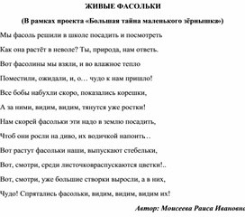 Обложка для материала ЖИВЫЕ ФАСОЛЬКИ (В рамках проекта «Большая тайна маленького зёрнышка»)