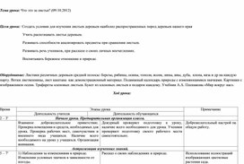 Конспект урока окружающего мира по теме "Что это за листья?" для учащихся 1 класса