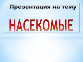 Паук - насекомое ?