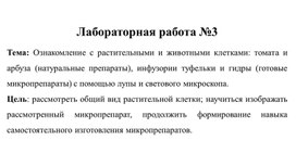 Обложка для материала Презентация лабораторной работы по биологии 5 класс на тему: " Ознакомление с растительными и животными клетками: томата и арбуза (натуральные препараты), инфузории туфельки и гидры (готовые микропрепараты) с помощью лупы и светового микроскопа."