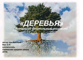 Презентация Деревья