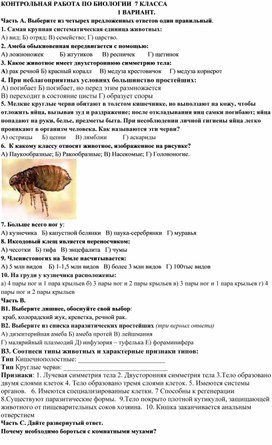 Обложка для материала Контрольная работа по биологии 7 класс