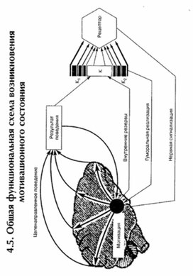 Обложка для материала материал по психофизиологии