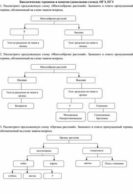 ОГЭ. Схемы по теме "Растения 1"