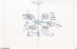 Интеллект-карта по теме "Блюда из рыбы"