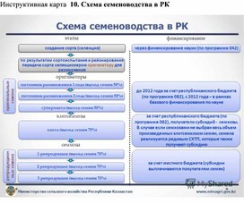 "Схема семеноводства в Республике Казахстан"