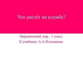 Обложка для материала Что растёт на клумбе?