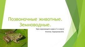 Квест-урок по окружающему миру по теме "Позвоночные животные. Земноводные", 3 класс