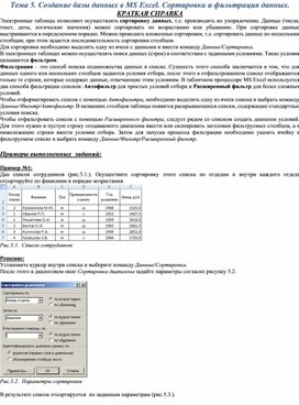 Обложка для материала Тема 5. Создание базы данных в MS Excel. Сортировка и фильтрация данных
