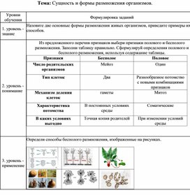 Задания к уроку по теме "Сущность и формы размножения" (Таксономия Блюма) организмов.