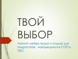 Обложка для материала Презентация о работе лагеря труда и отдыха "Твой выбор" для подростков. находящихся в СОП и ТЖС