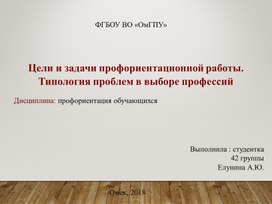 Цели и задачи профориентационной работы.  Типология проблем в выборе профессий