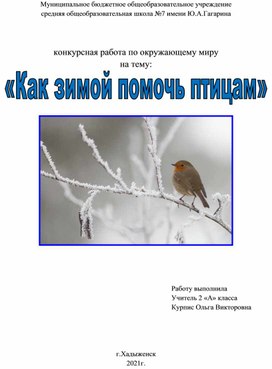 Конкурсная работа по окружающему миру на тему:  «Как зимой помочь птицам».