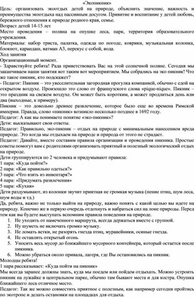 Итоговое занятие на природе "Экопикник"