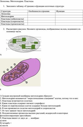 Карточки по теме лизосомы митохондрии пластиды