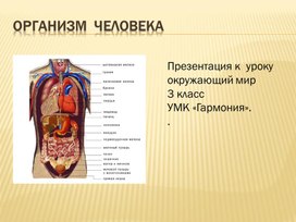 Обложка для материала презентация организм человека