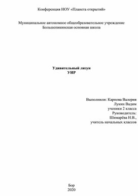 Исследовательская работа Удивительный лизун