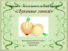 Обложка для материала Эколого-исследовательский проект "Луковые гонки"
