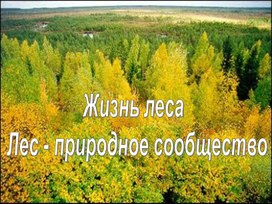 Презентация к уроку окружающего мира в 4 классе "Жизнь леса"