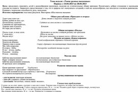 Планирование в подготовительной группе "Такие разные насекомые"