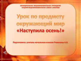 Урок по предмету окружающий мир   «Наступила осень»