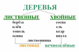 Обложка для материала Окружающий мир для начальных классов_схема_22