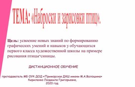 Презентация для школьников первого класса художественной школы на тему " Наброски и зарисовки птиц". Дистанционное обучение