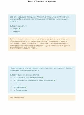 Обложка для материала Тест: «Успешный проект»