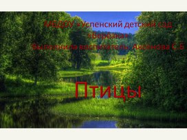 Обложка для материала Презентация "Птицы"
