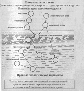 Материал к урокам  биологии