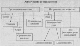 Материал к урокам  биологии