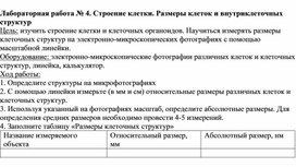 Обложка для материала Лабораторная работа № 4. Строение клетки. Размеры клеток и внутриклеточных структур