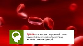 Обложка для материала Кровь