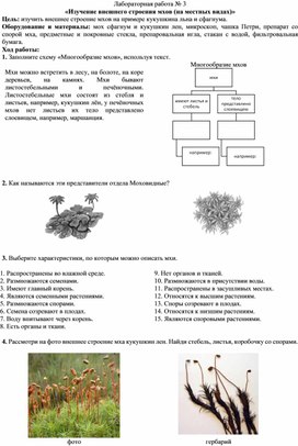 Лабораторная работа  «Изучение внешнего строения мхов (на местных видах)»