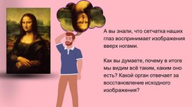 Обложка для материала Головной мозг - лекция