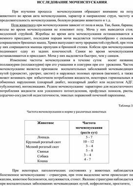 Исследование мочеиспускания у животных.