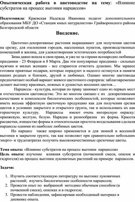 «Влияние субстратов на процесс выгонки нарциссов»