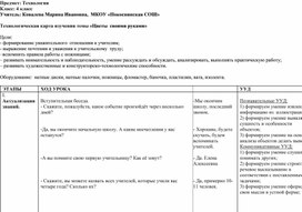 Урок технологии ЦВеты своими руками