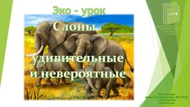 Экологический урок "Слоны удивительные и невероятные"