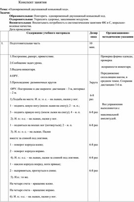 Конспект занятия на тему: «Одновременный двухшажный коньковый ход».