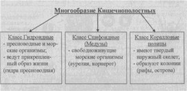 Материал к урокам  биологии