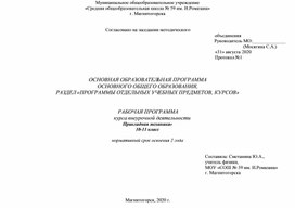 Рабочая программа курса внеурочной деятельность "Прикладная механика" 10-11 кл