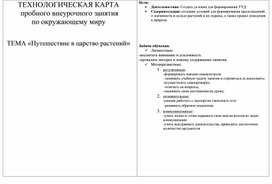 Конспект по внеурочному занятию окружающего мира на тему "Путешествие по царству растений"