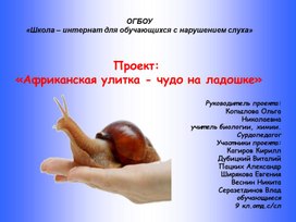 Презентация "Чудо на ладошке"