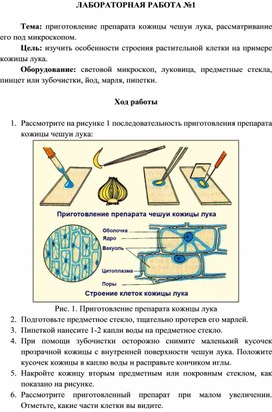 Физиология растений. Лабораторные работы