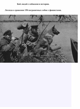 Бой людей с собаками в истории. Легенда о сражении 150 пограничных собак с фашистами.