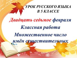 Обложка для материала Множественное число имён существительных