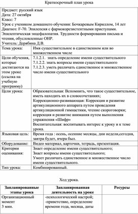 Открытый урок по русскому языку на тему "Имя существительное в единственном или во множественном числе""