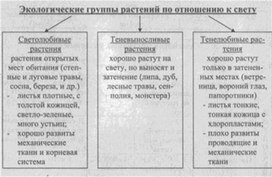 Материал к урокам  биологии