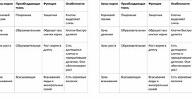 Зоны корня. Таблица с описанием зон корня для урока биологии. 6 класс